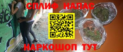 ПСИЛОЦИБИНОВЫЕ ГРИБЫ Новозыбков